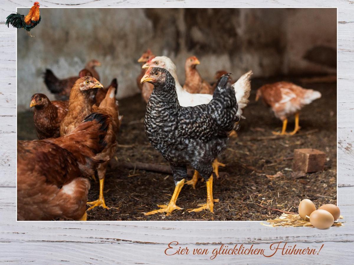Fewo-Egger-Thalmann Virgen Εξωτερικό φωτογραφία